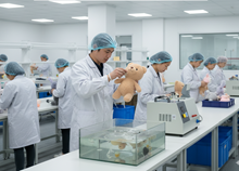 Quality testing and compliance preparation