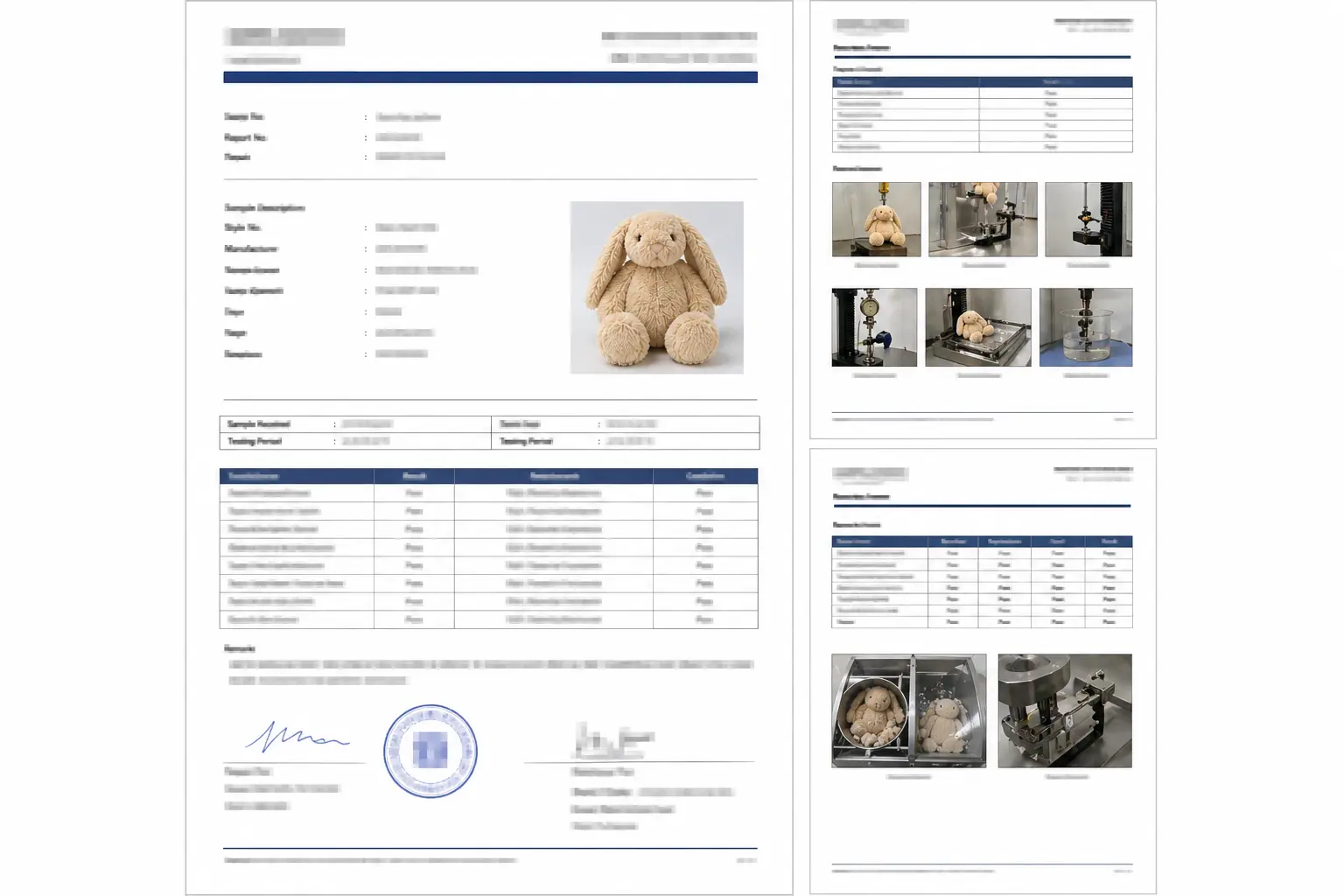 Sample physical safety test report preview